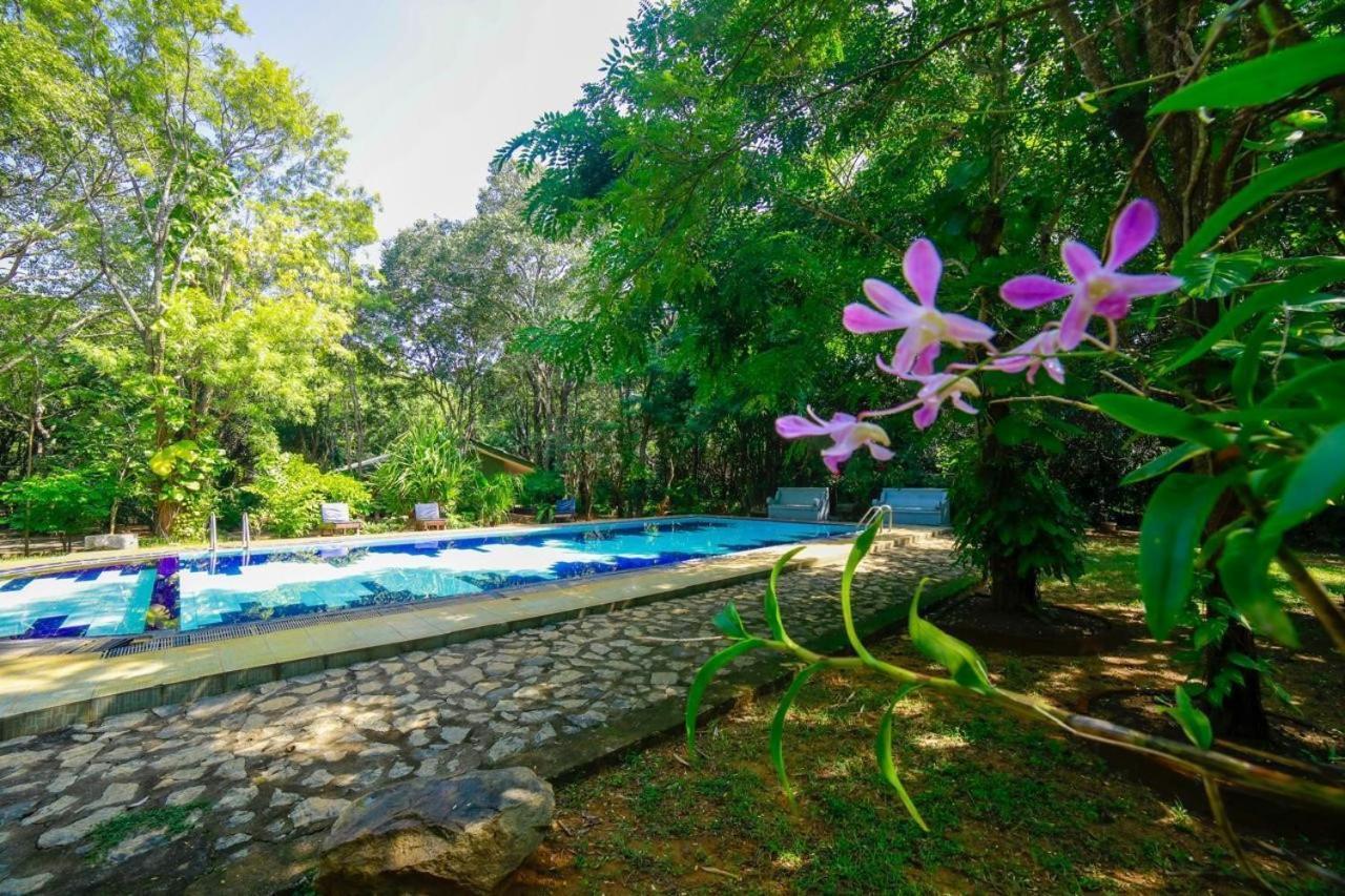 Jays Holiday Resort Habarana Bagian luar foto