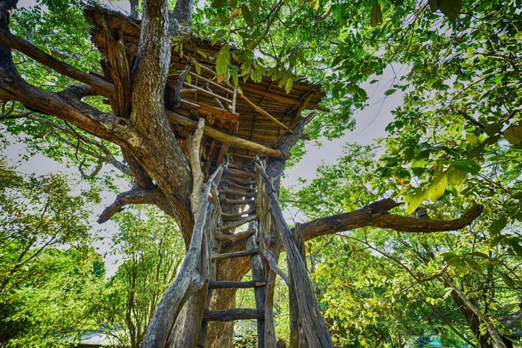 Jays Holiday Resort Habarana Bagian luar foto